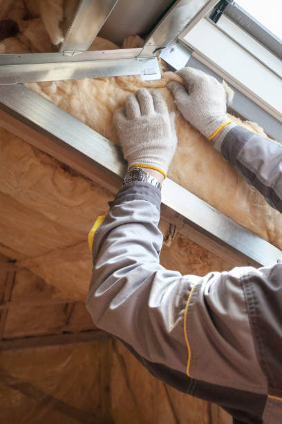 Best Cellulose Insulation  in York, NE