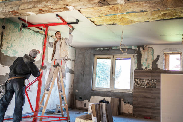 Best Insulation Replacement Services  in York, NE